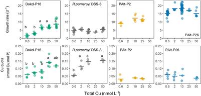 Effects of Copper Availability on the Physiology of Marine Heterotrophic Bacteria